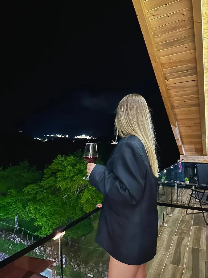 Guesthouse Marashi Тети
